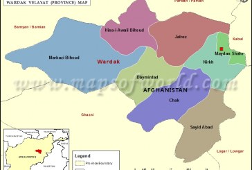 Mujahideen attacks kill 21 puppets in Wardak