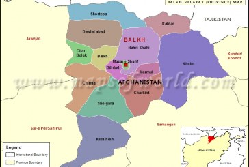 8 puppets killed, 14 injured in Balkh