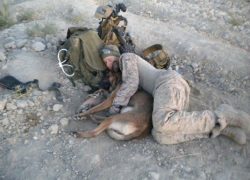 The American despair continues in Afghanistan