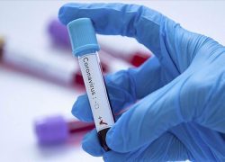 The COVID-19 pandemic and our shared responsibilities