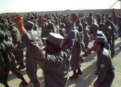 Kabul administration and latest casualty figures